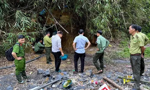 Xử lý các đối tượng khai thác vàng không phép trong rừng phòng hộ Đắk Glong