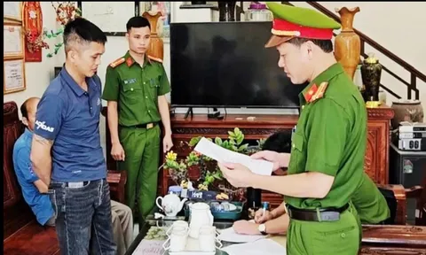 Lạng Sơn: bắt giữ 2 đối tượng thu gom lợn nhiễm dịch mang đi tiêu thụ