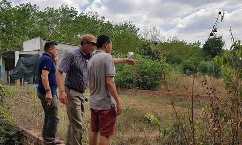 Lời giải xử lý tận gốc “cò đất” lộng hành