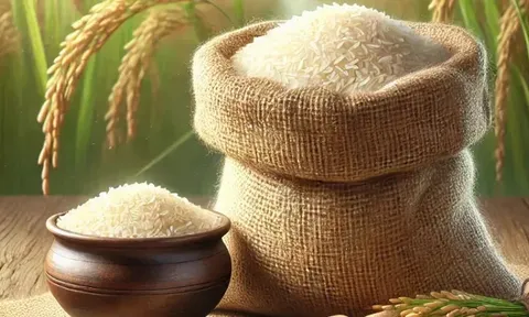 Giá lúa gạo hôm nay 31/7: gạo xuất khẩu tăng mạnh