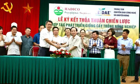 Hà Nội tăng cường hợp tác phát triển giống cây trồng