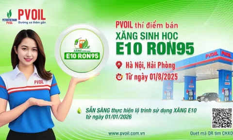 Bắt đầu thí điểm bán xăng E10 từ ngày 1/8