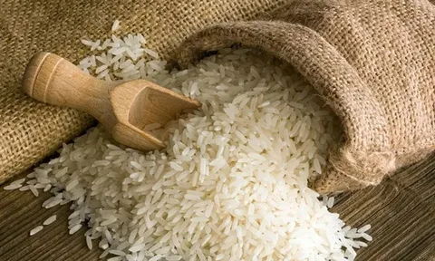 Giá lúa gạo hôm nay 4/8: giao dịch mua bán vắng, giá bình ổn