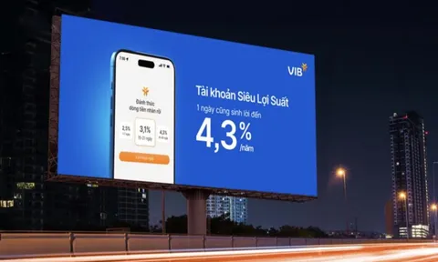 Siêu lợi suất VIB: Khi dòng tiền nhàn rỗi tạo nên hành trình tỷ đồng