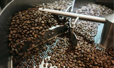 Giá cà phê hôm nay 5/8/2025: Robusta tăng cả trăm USD, trong nước vượt 100.000 đồng/kg