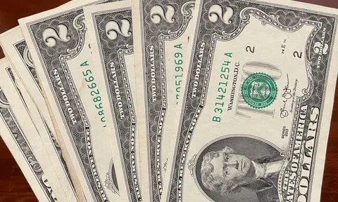 Tỷ giá USD hôm nay 7/8: tăng trên thị trường tự do