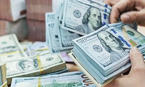 Tỷ giá USD hôm nay 14/8: thị trường tự do tăng không ngừng