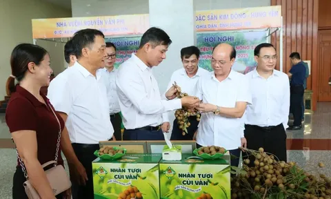 Hưng Yên xúc tiến tiêu thụ nhãn và nông sản năm 2025