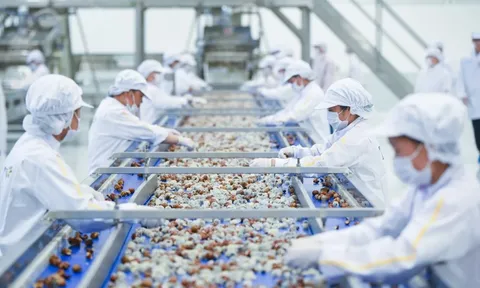 Liên kết chuỗi cung ứng - nền tảng phát triển bền vững doanh nghiệp