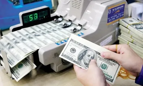 Tỷ giá USD hôm nay 30/10: Thị trường tự do đi ngang