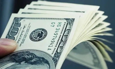 Tỷ giá USD hôm nay 29/12/2025: Thị trường tự do và trong ngân hàng cùng giảm