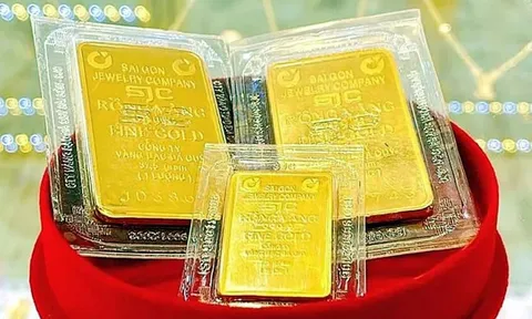 Giá vàng hôm nay 14/1/2026: Vàng SJC và vàng nhẫn biến động mạnh, neo ở đỉnh lịch sử