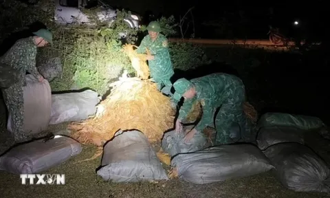 Sắp xét xử vụ buôn lậu vàng xuyên biên giới