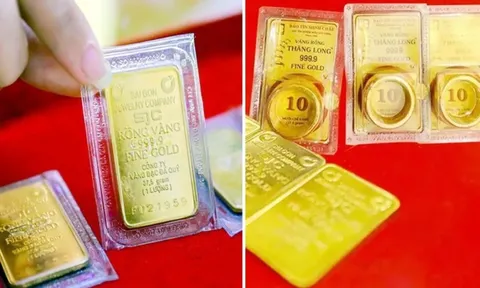 Giá vàng hôm nay 24/1/2026: Vàng SJC và vàng nhẫn bứt phá mạnh, lên mức cao nhất từ trước tới nay