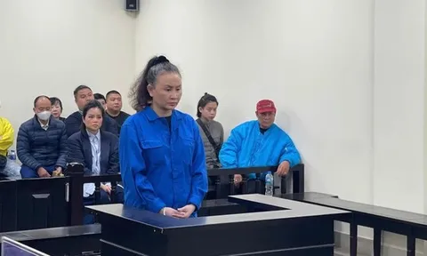 Người phụ nữ dễ dàng sập bẫy, mất 229 tỷ đồng