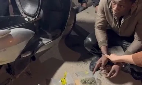 Khởi tố đối tượng người nước ngoài mua bán gần 8 kg cần sa tại Hà Nội