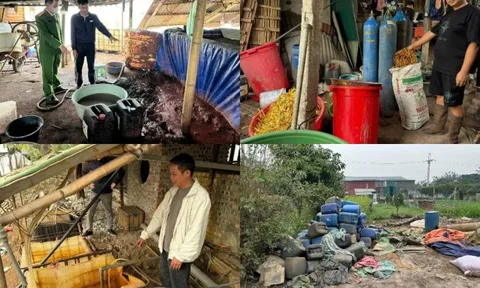 Đấu tranh quyết liệt, hiệu quả với tội phạm môi trường