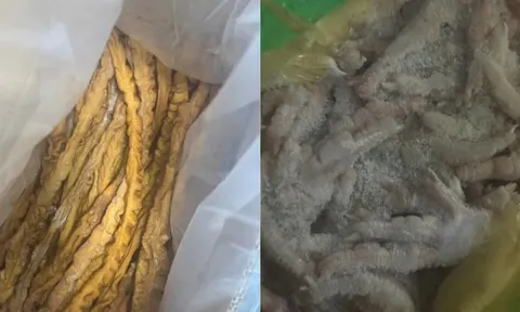 Hải Phòng: một doanh nghiệp bị phạt hơn 200 triệu đồng do thu mua 55 tấn lòng lợn, chân gà không nguồn gốc