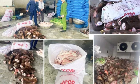 Thu giữ gần 6 tấn thực phẩm bẩn tại Thanh Hóa