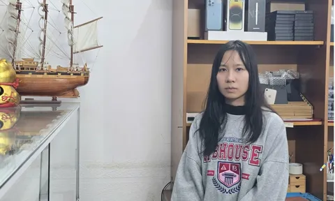 Tạm giữ hình sự "nữ quái" gây ra hàng loạt vụ trộm cắp