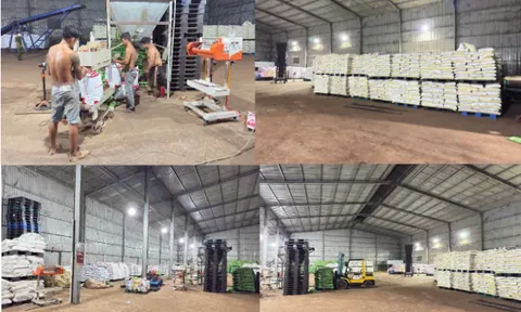 Triệt phá đường dây sản xuất phân bón giả, thu giữ hơn 200 tấn nguyên liệu