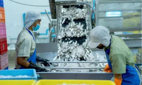 Đưa phụ phẩm nông nghiệp thành mũi nhọn xuất khẩu