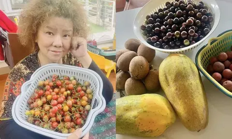 Trọng Tấn và dàn nghệ sĩ sở hữu nhà vườn rộng rãi