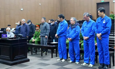 Cựu Chủ tịch HĐTV Vicem hầu toà