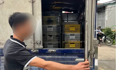 Xã Đại Xuyên: Xử lý 4 trường hợp vận chuyển gia cầm vi phạm quy định thú y