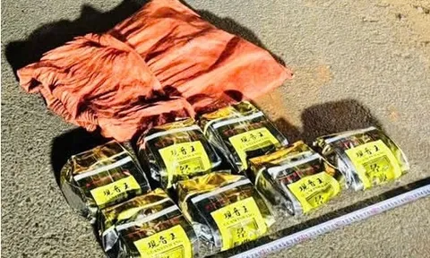 Hải quan liên tiếp phát hiện, bắt giữ các vụ vận chuyển ma túy lớn