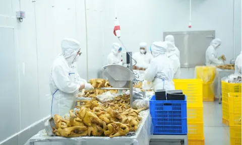 Bộ Y tế chỉ đạo khẩn, yêu cầu tăng cường kiểm tra đột xuất, ngăn chặn “thực phẩm bẩn” len lỏi vào học đường