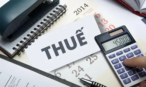 Dần xoá bỏ “vùng xám” trong nghĩa vụ thuế