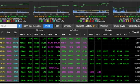 Chứng khoán phục hồi tuần thứ ba liên tiếp