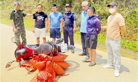 Thu giữ hơn 59kg vảy nghi của tê tê vận chuyển trái phép tại Cao Bằng