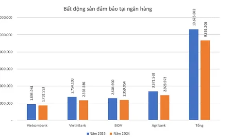 Liên tục thu giữ tài sản thế chấp, khối bất động sản đảm bảo tại các ngân hàng lớn cỡ nào?