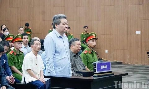 Giám đốc Công ty Hoàng Dân kháng cáo, xin giảm án