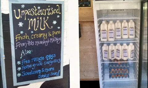 Xu hướng tiêu thụ sữa thô tại Anh: Rủi ro sức khỏe bị bỏ ngỏ