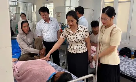 Khẩn trương điều tra, xử lý vụ nghi ngộ độc thực phẩm sau khi ăn bánh mì ở Quảng Trị