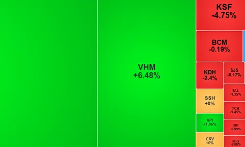 Cổ phiếu NVL tiếp tục giảm sàn, thị trường "xanh vỏ đỏ lòng"