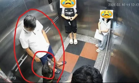 Thú cưng không thể là “lá chắn” cho hành vi coi thường cộng đồng