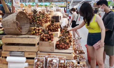 Vải thiều vào vụ thu hoạch, Hà Nội hỗ trợ các địa phương tiêu thụ