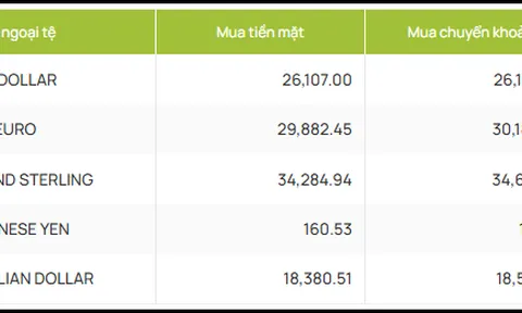 Tỷ giá ngày 16-5: USD tăng nhờ dữ liệu kinh tế Mỹ tích cực