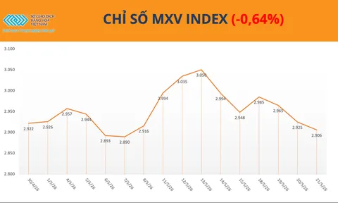 Thị trường phân hóa, MXV-Index giằng co