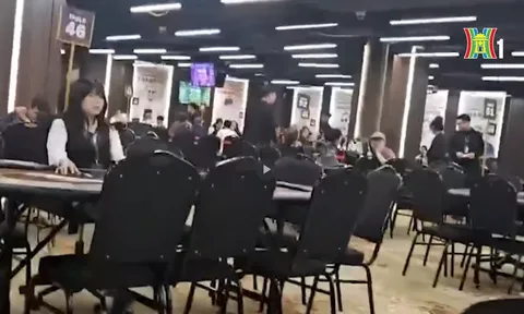 Poker và những dấu hỏi từ hoạt động của CLB cơ sở Bài 2: CLB poker không thuộc hệ thống Hiệp hội, tổ chức nào sẽ quản lý và giám sát hoạt động chuyên môn?