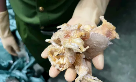 Công an Hà Nội phá đường dây tuồn hàng nghìn tấn chân gà nhập lậu ra thị trường