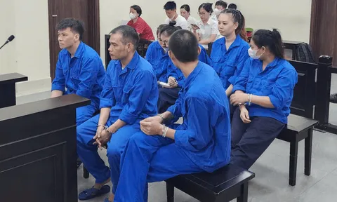 Xét xử đường dây môi giới mua bán thận