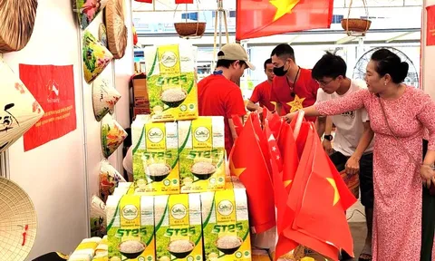 Cơ hội để ngành lúa gạo Việt nâng cấp chuỗi sản xuất