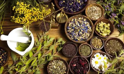 Phát huy vai trò của y học cổ truyền trong chăm sóc, nâng cao sức khỏe nhân dân