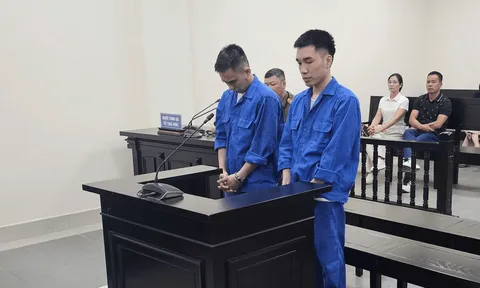 Hầu toà vì rủ nhau đi cướp 16 cây vàng của chủ nhà nghỉ