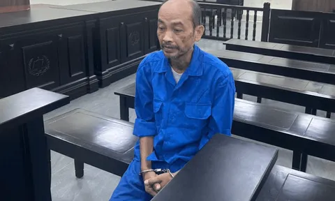 Lĩnh án 10 năm tù vì lừa “chạy sổ đỏ”